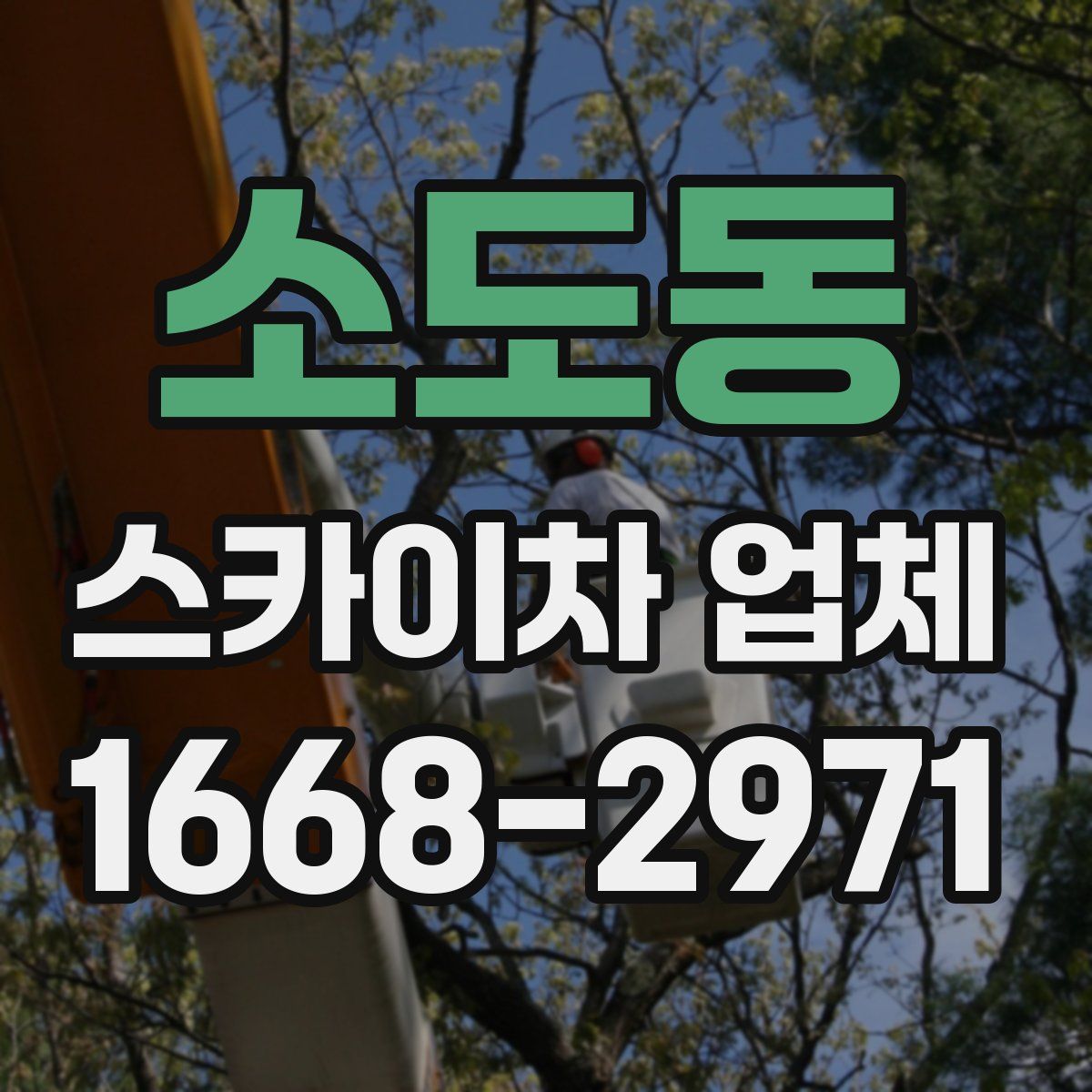 소도동 스카이차 업체