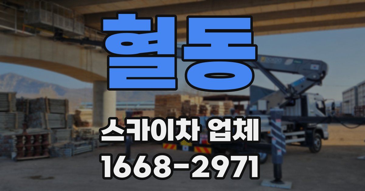 혈동 스카이차 업체