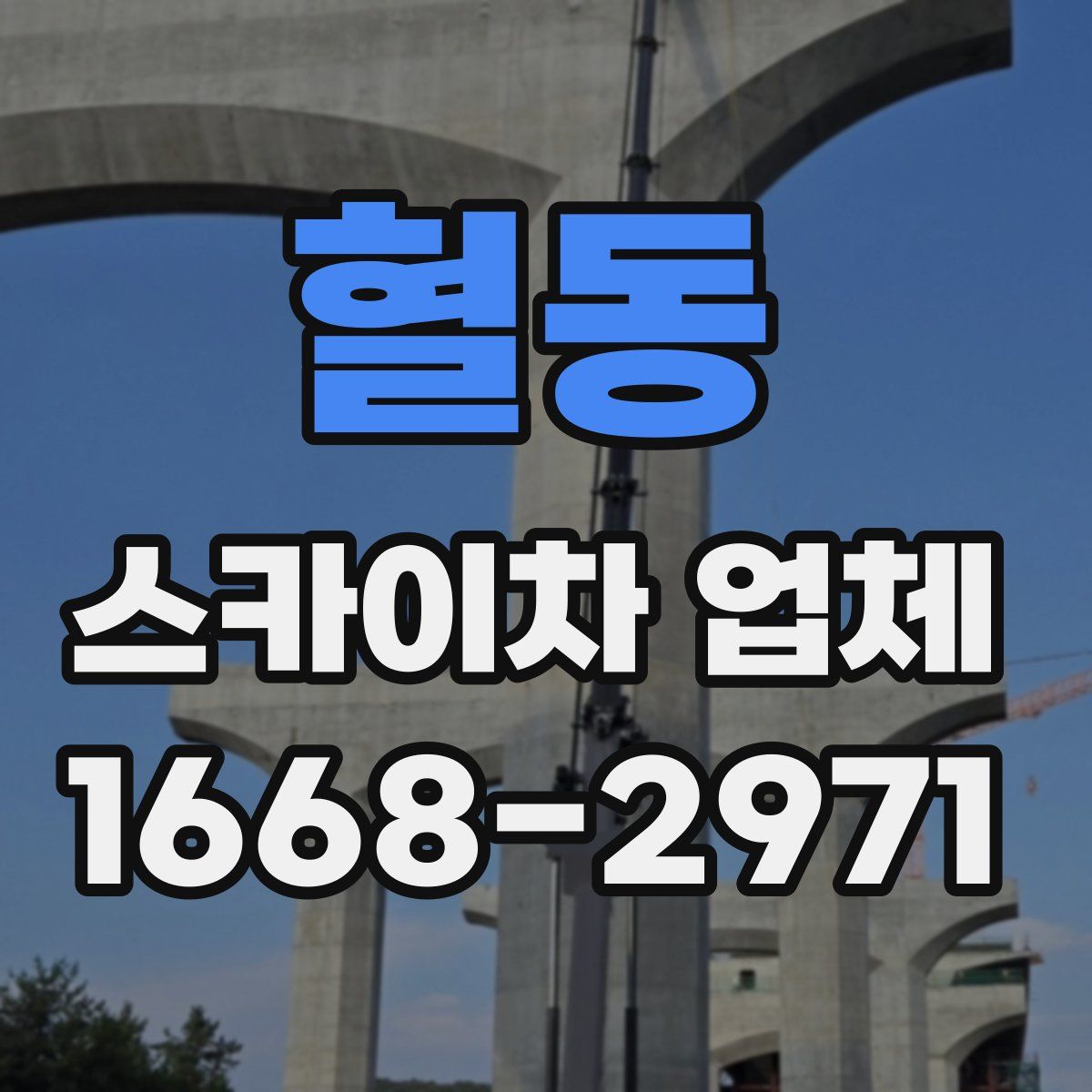 혈동 스카이차 업체