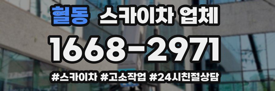 혈동 스카이차 업체
