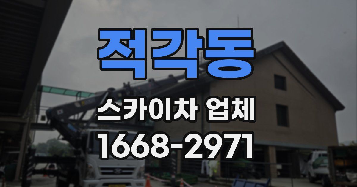 적각동 스카이차 업체