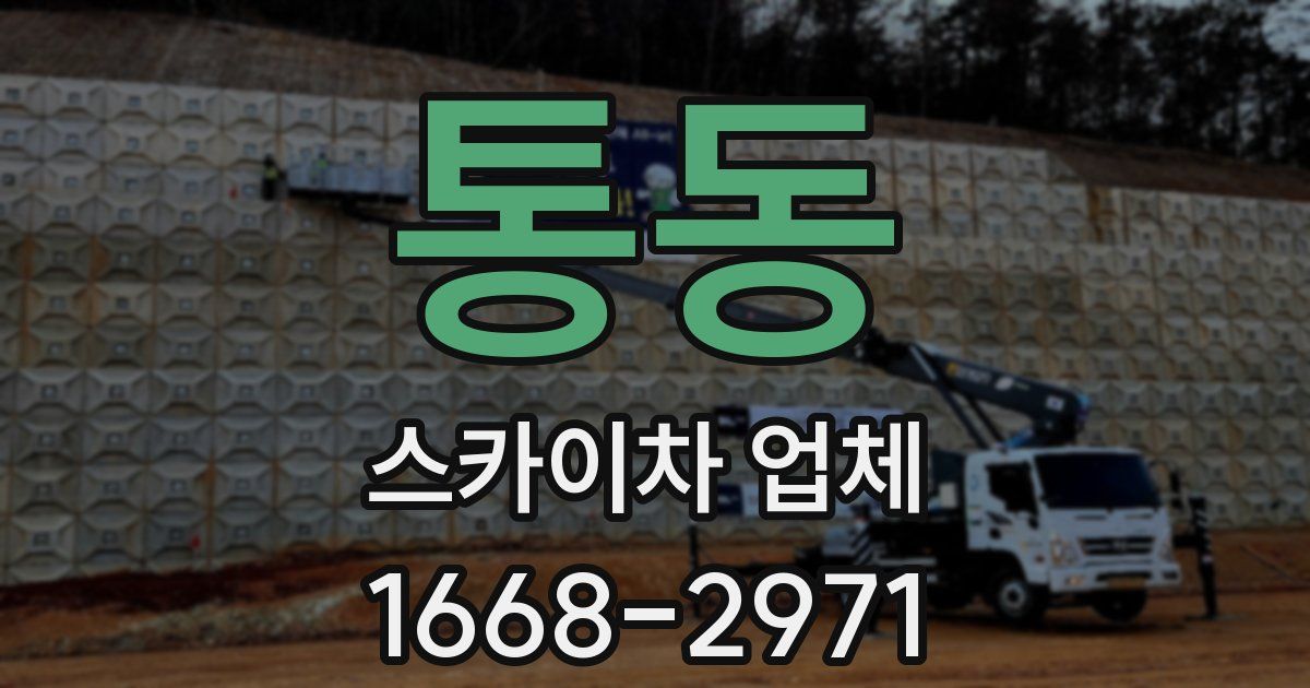 통동 스카이차 업체