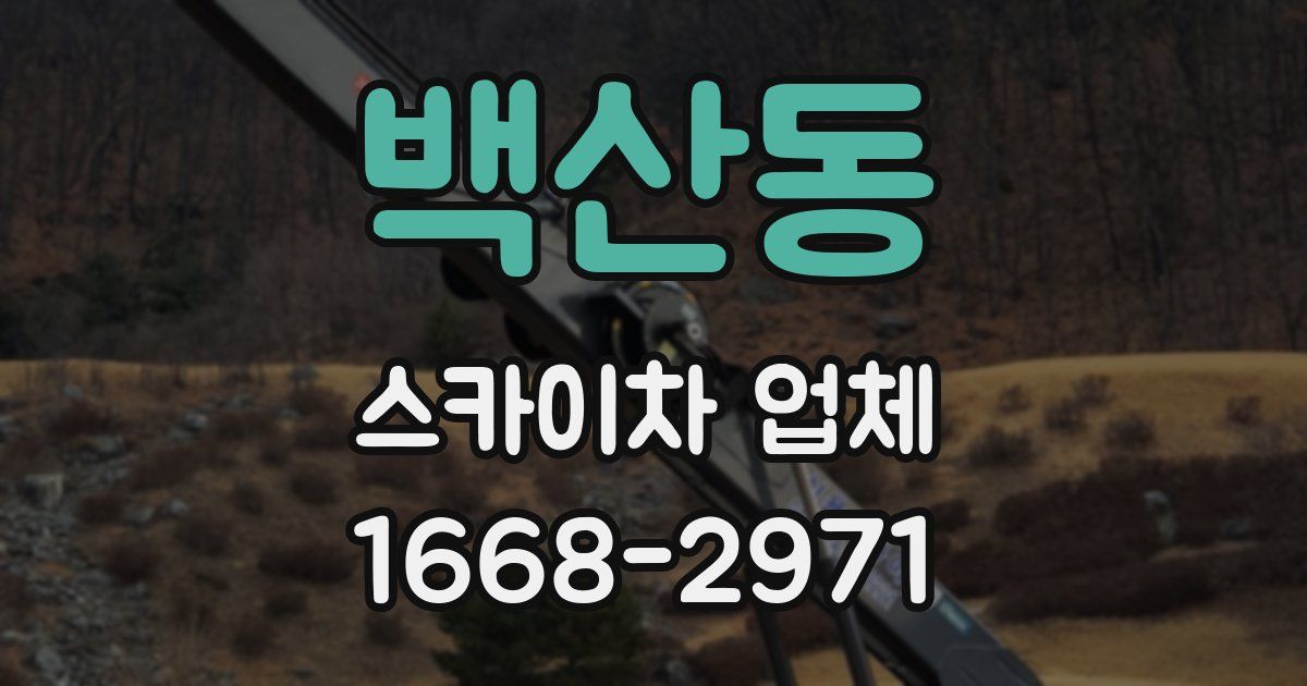 백산동 스카이차 업체