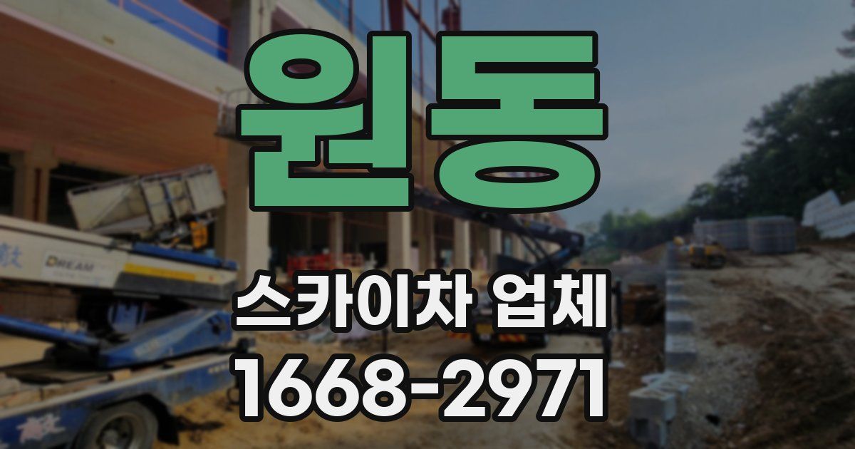 원동 스카이차 업체