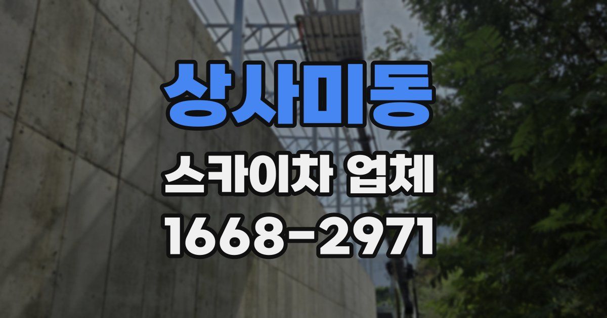 상사미동 스카이차 업체