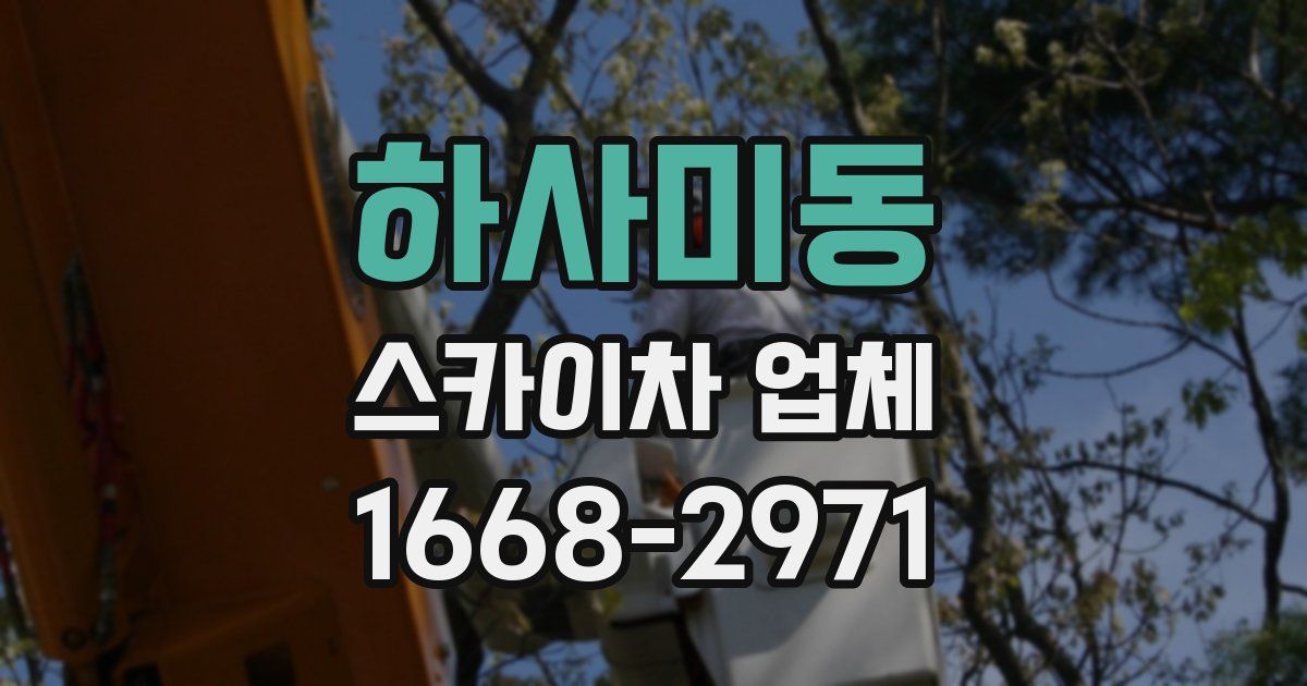 하사미동 스카이차 업체