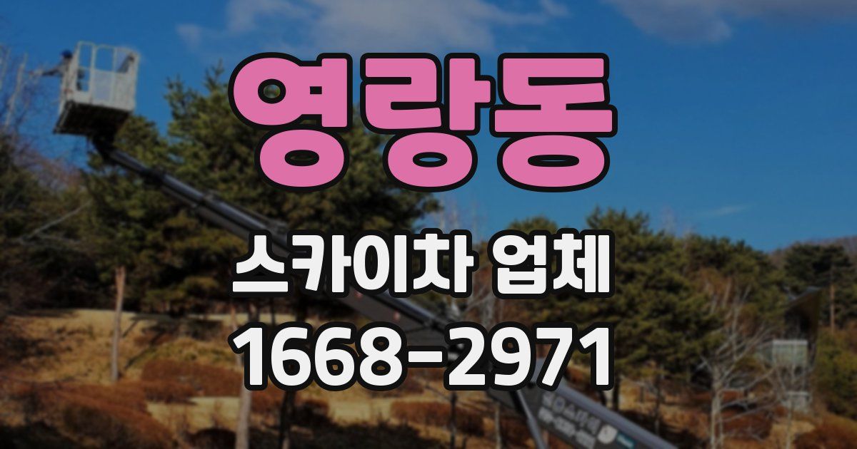 영랑동 스카이차 업체