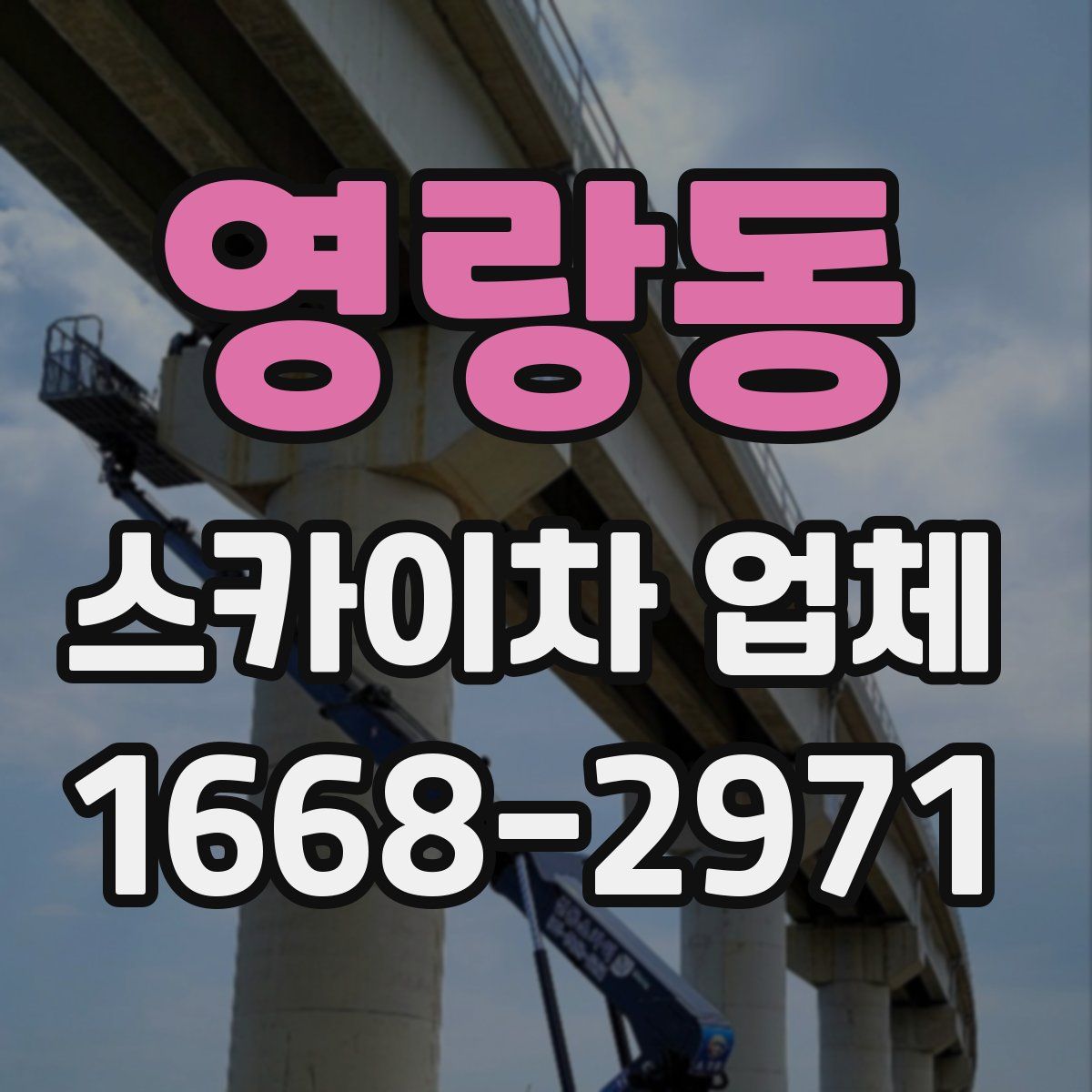 영랑동 스카이차 업체