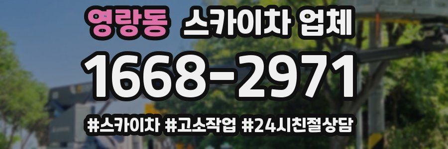 영랑동 스카이차 업체