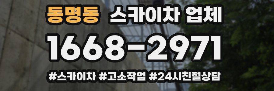동명동 스카이차 업체