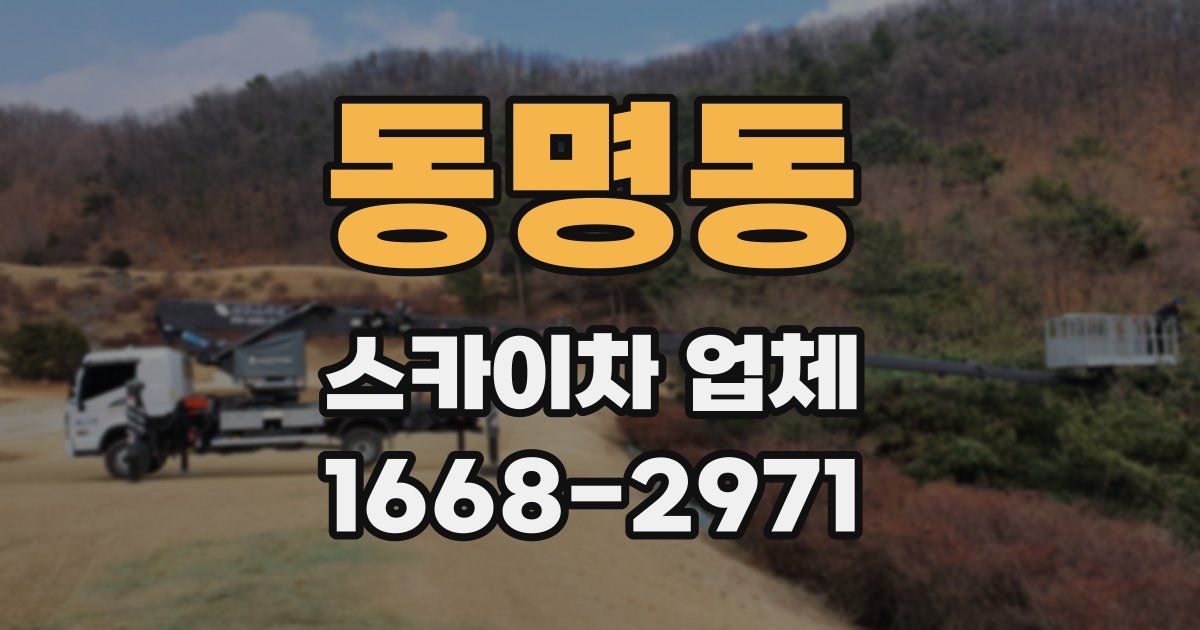 동명동 스카이차 업체