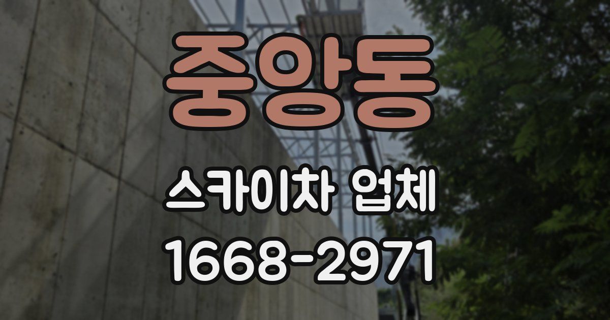 중앙동 스카이차 업체