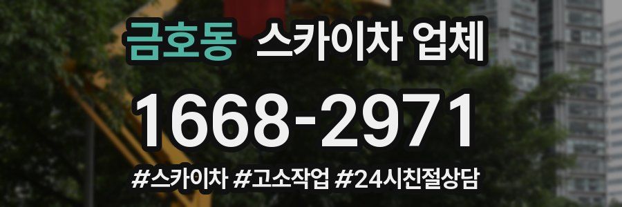 금호동 스카이차 업체