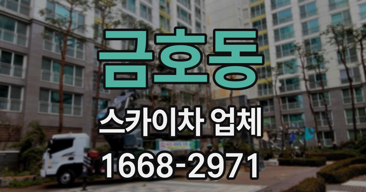 금호동 스카이차 업체