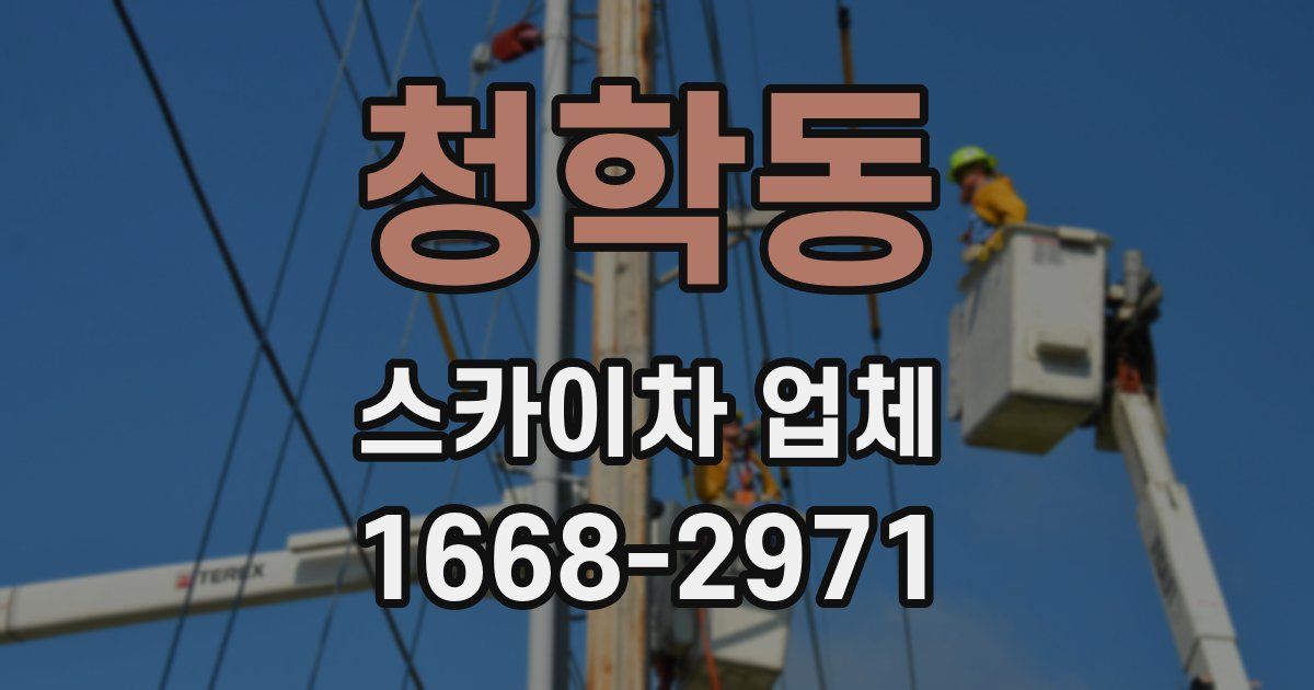 청학동 스카이차 업체