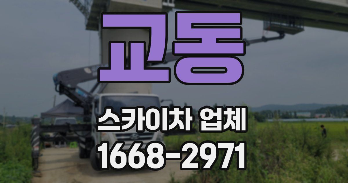 교동 스카이차 업체