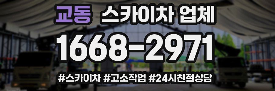 교동 스카이차 업체