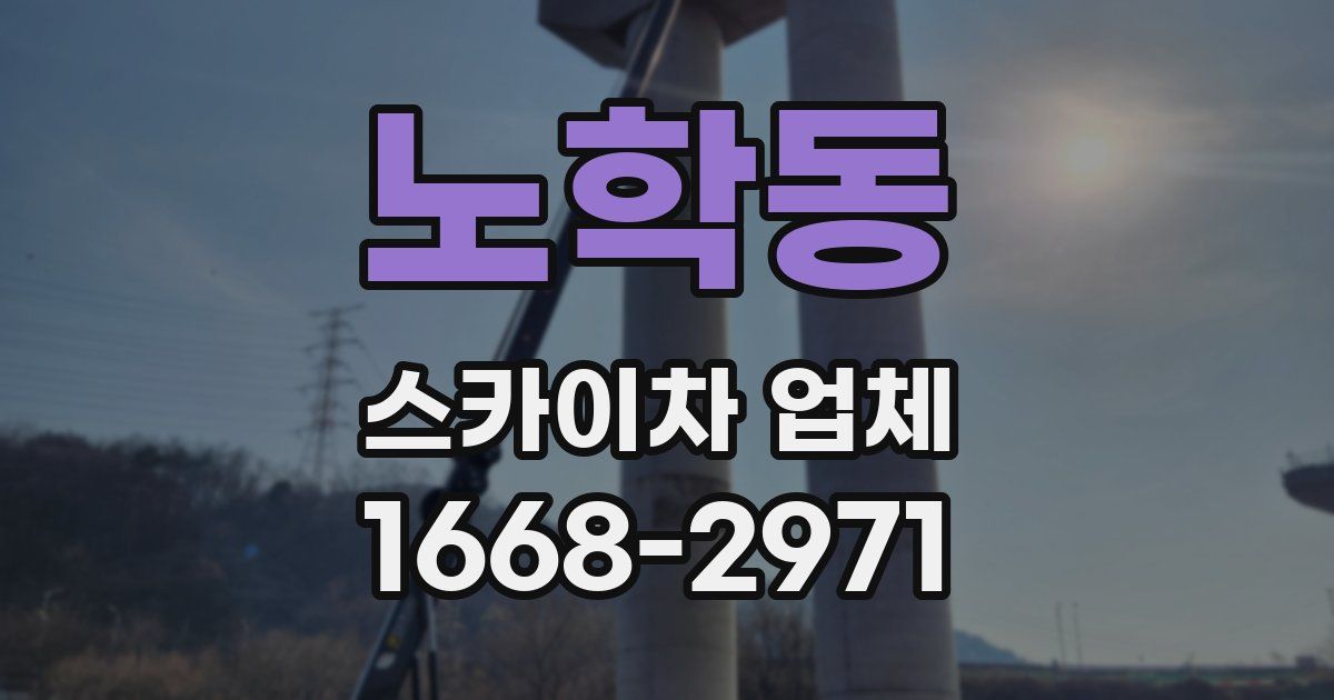 노학동 스카이차 업체