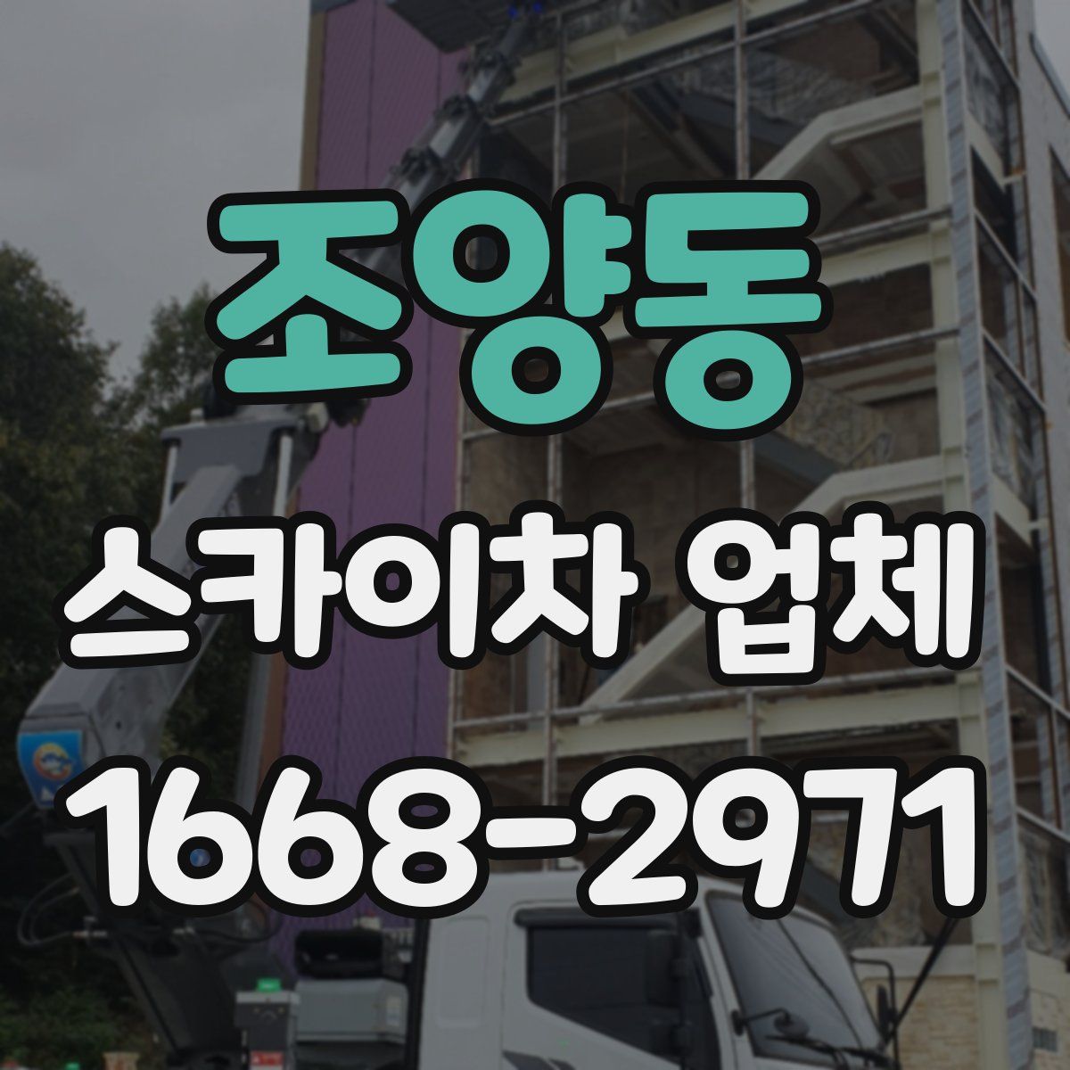 조양동 스카이차 업체