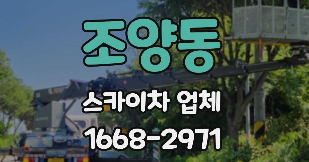 조양동 스카이차 업체