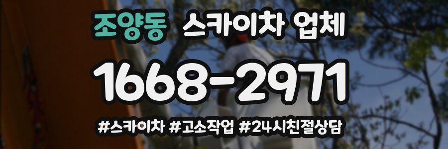 조양동 스카이차 업체