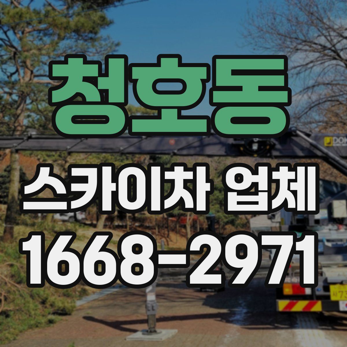 청호동 스카이차 업체