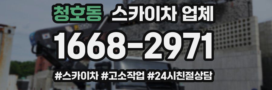 청호동 스카이차 업체
