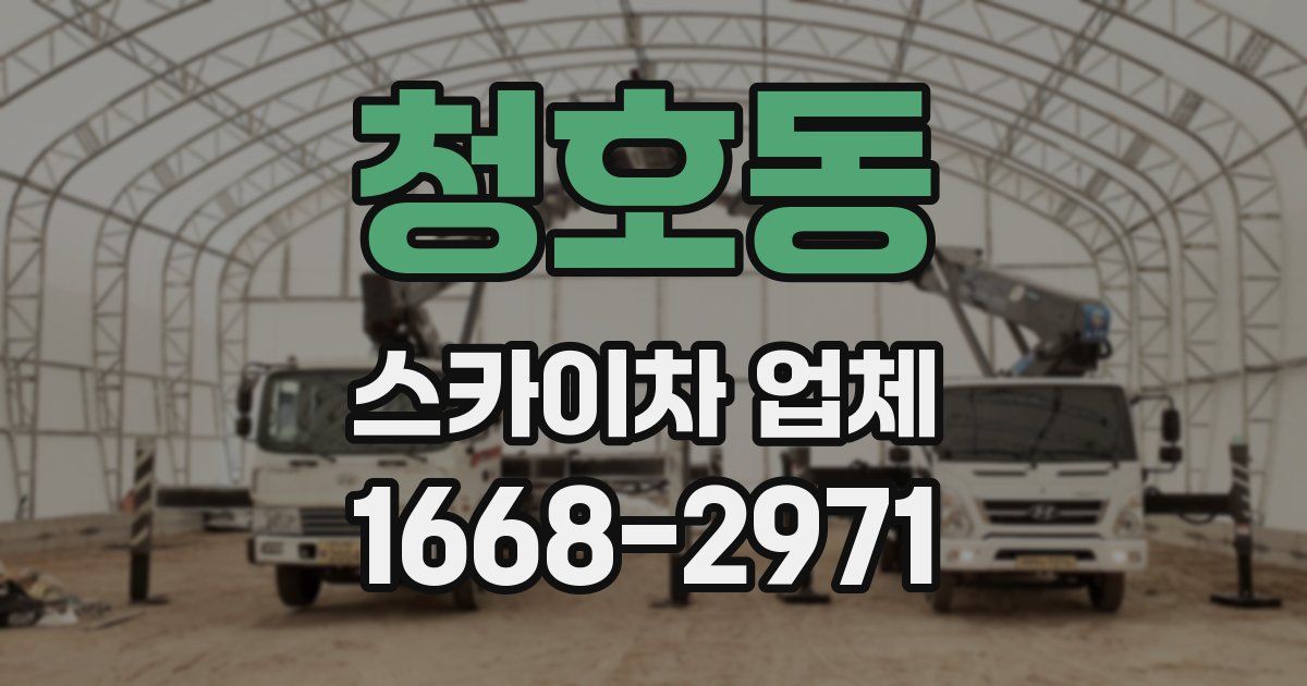 청호동 스카이차 업체