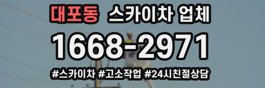 대포동 스카이차 업체