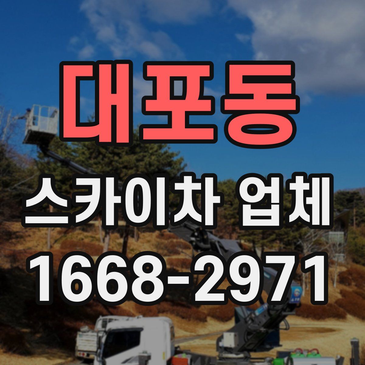 대포동 스카이차 업체