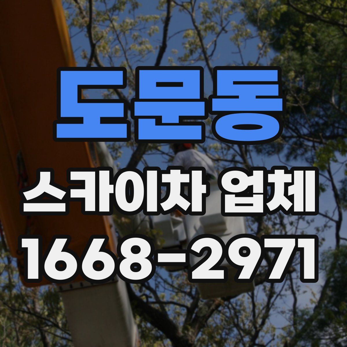 도문동 스카이차 업체