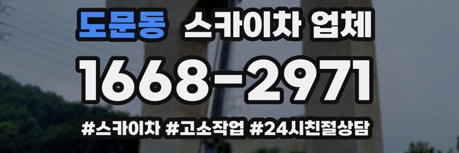 도문동 스카이차 업체