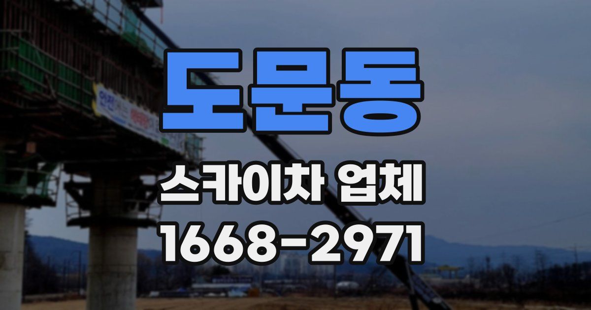 도문동 스카이차 업체
