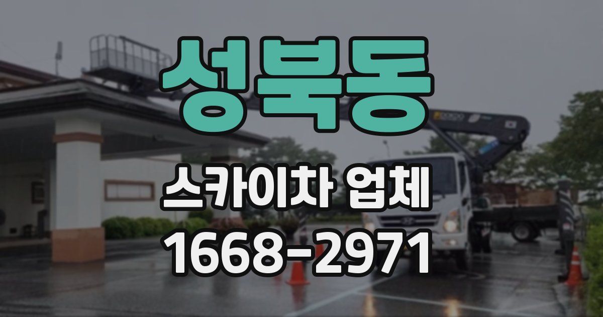 성북동 스카이차 업체