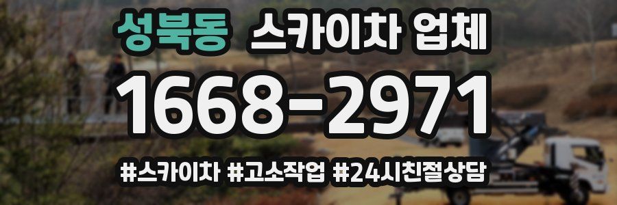 성북동 스카이차 업체