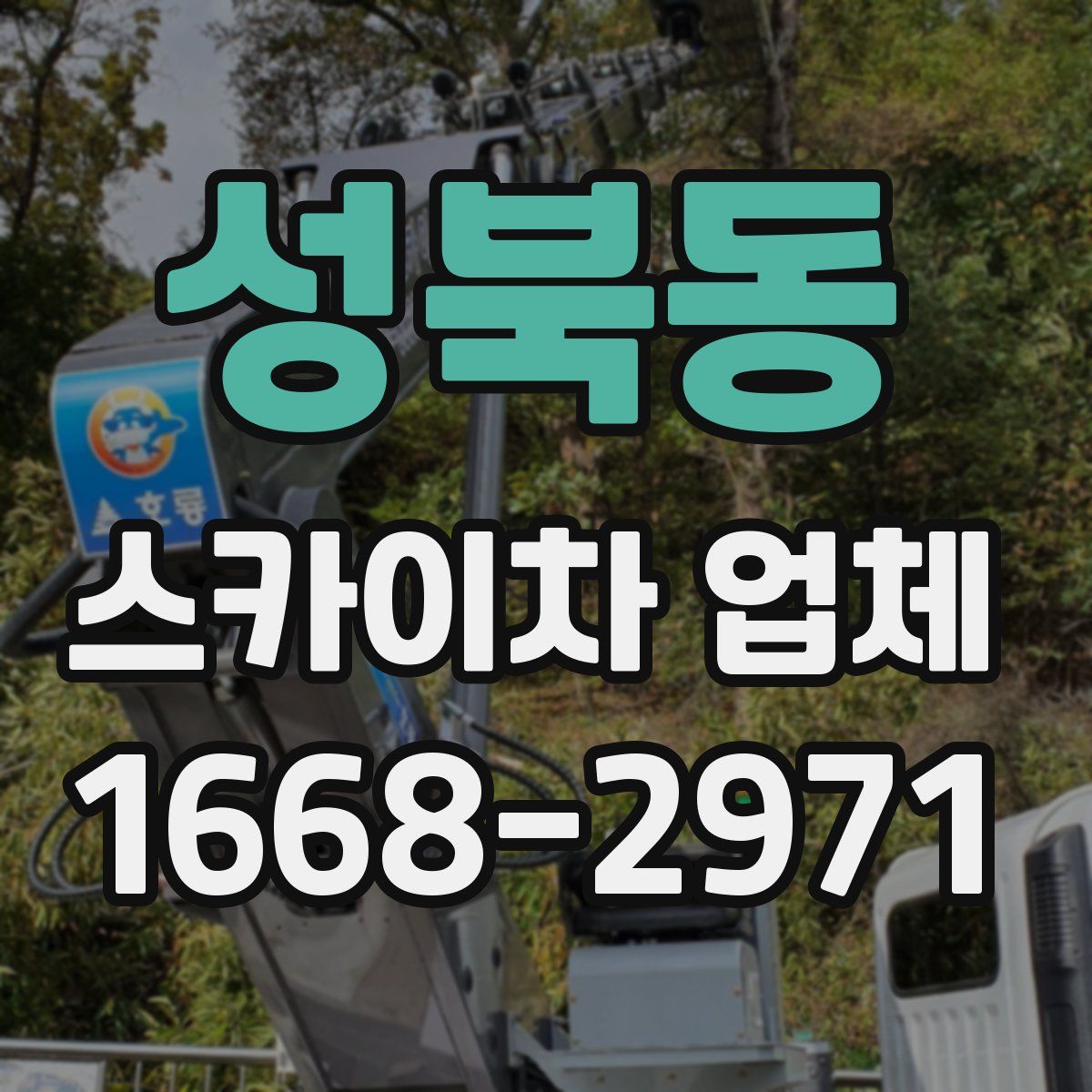 성북동 스카이차 업체