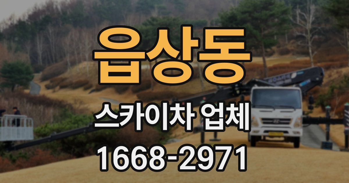 읍상동 스카이차 업체