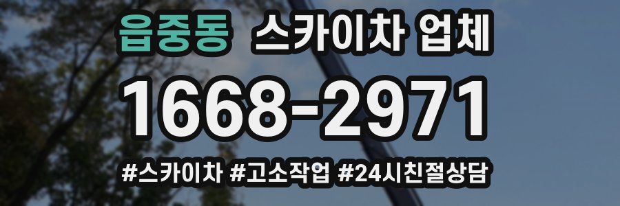 읍중동 스카이차 업체