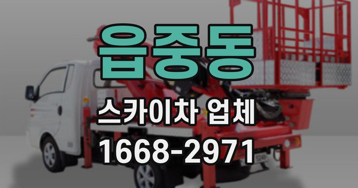읍중동 스카이차 업체