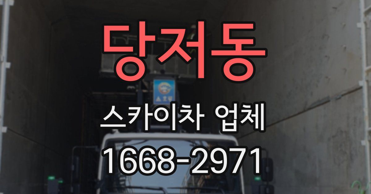 당저동 스카이차 업체