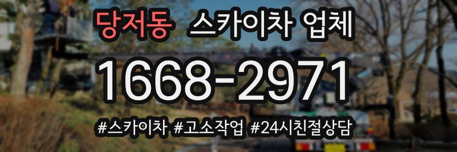 당저동 스카이차 업체