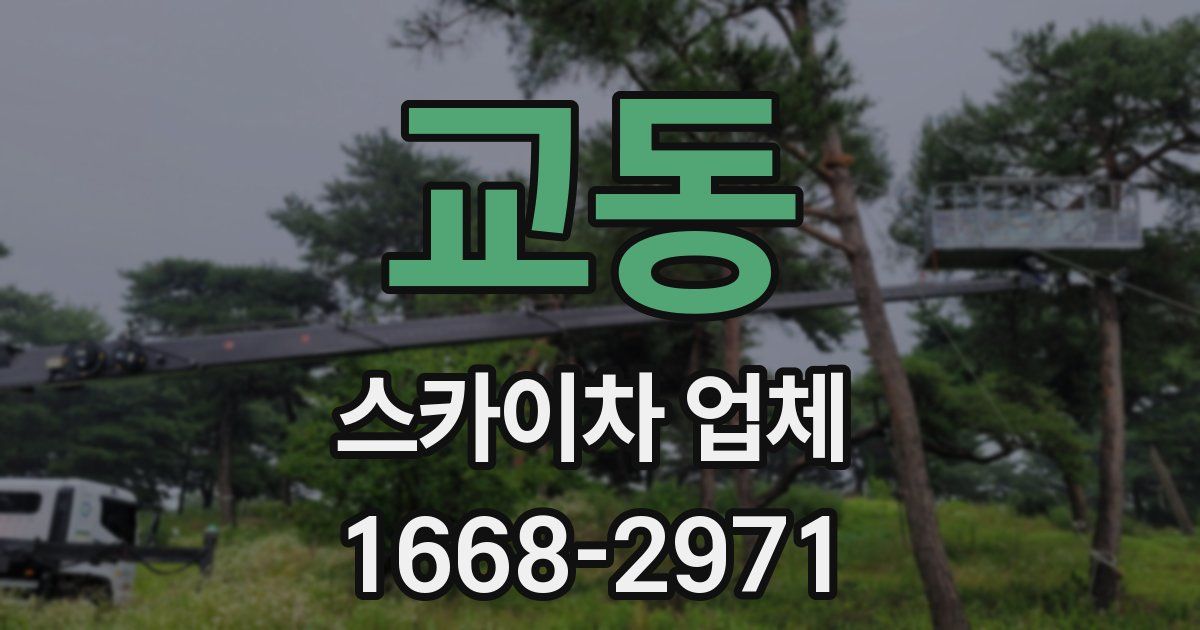 교동 스카이차 업체