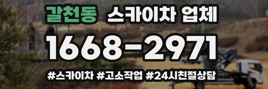갈천동 스카이차 업체