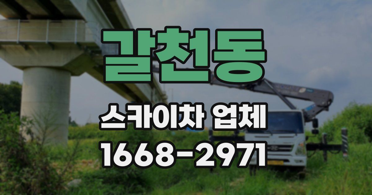 갈천동 스카이차 업체