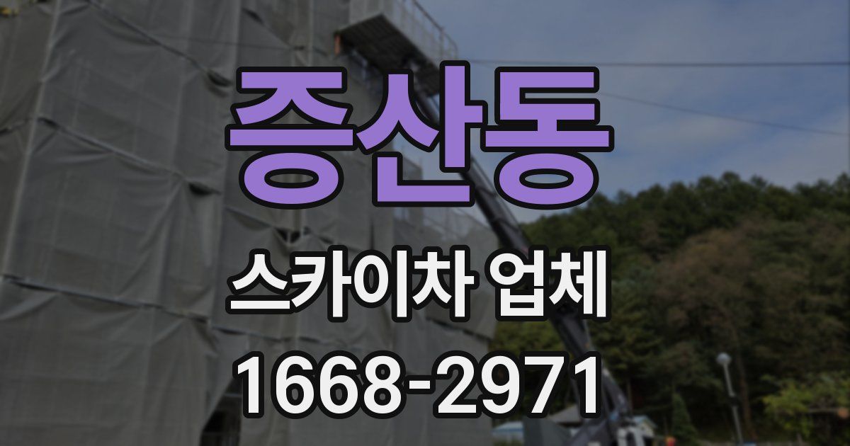 증산동 스카이차 업체