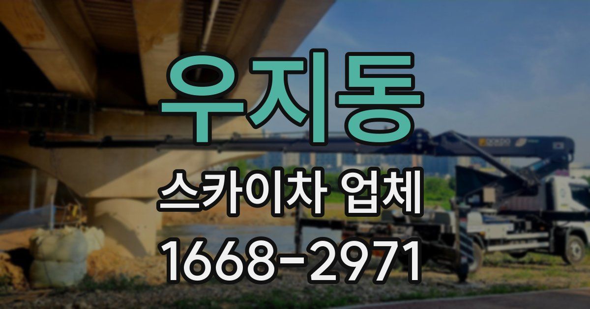 우지동 스카이차 업체