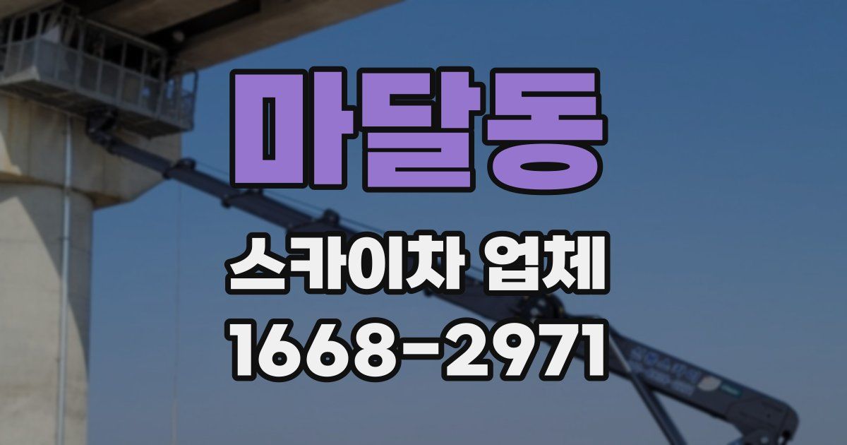 마달동 스카이차 업체