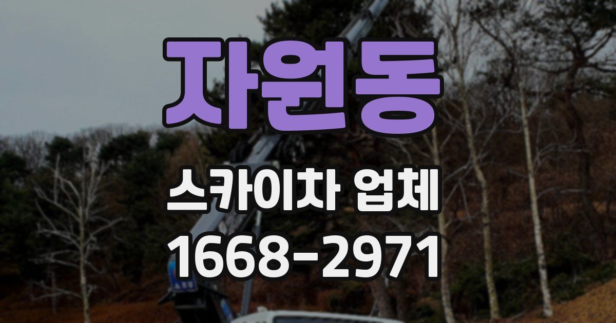 자원동 스카이차 업체