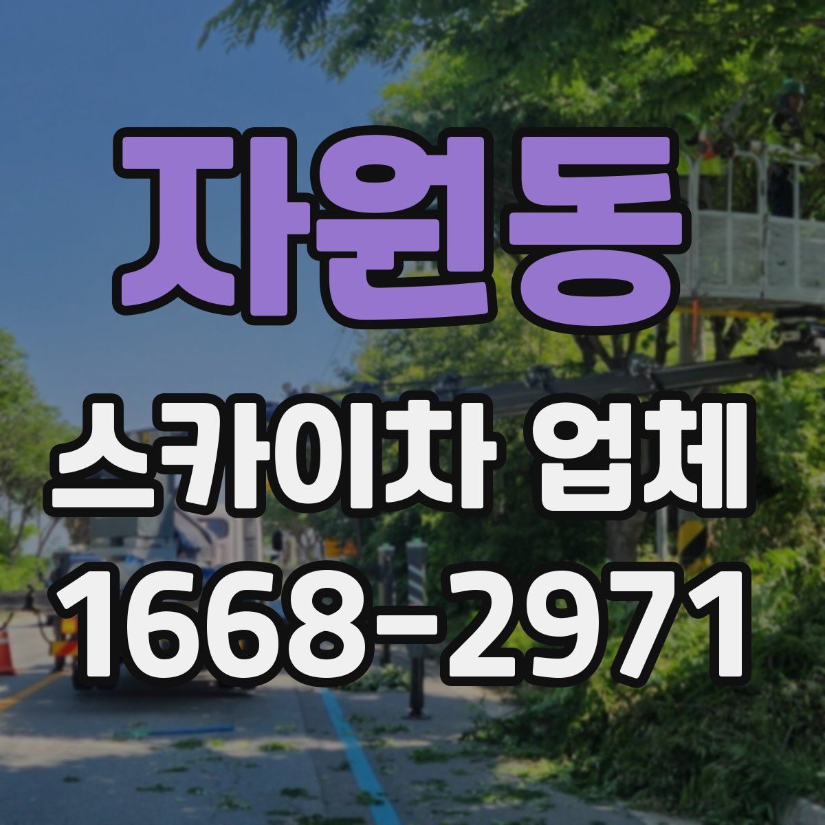 자원동 스카이차 업체
