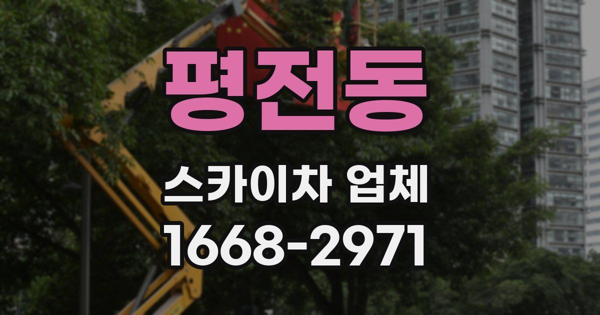 평전동 스카이차 업체